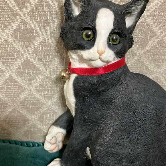 Beautiful black and white kitten sitting - Picture 4 of 11